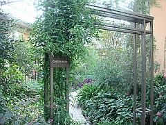 454 Longwood Gardens [2008 August 23]